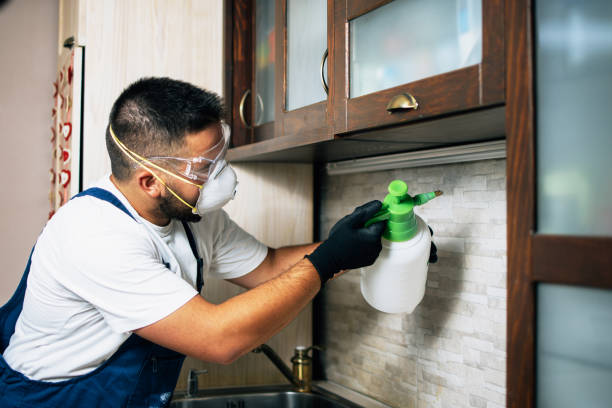 Best Affordable Pest Control Services  in Myrtletown, CA