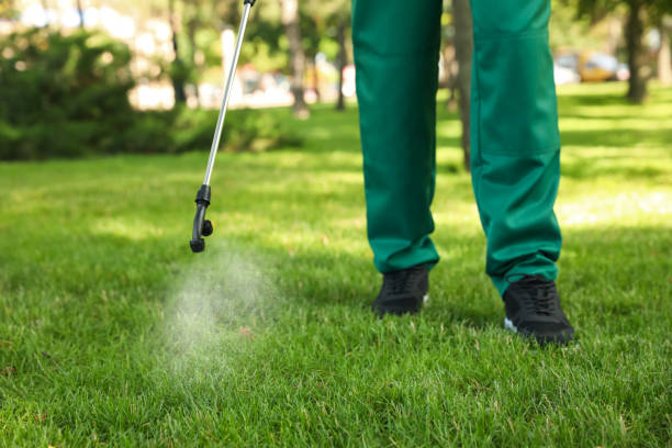 Pest Control for Restaurants in Myrtletown, CA
