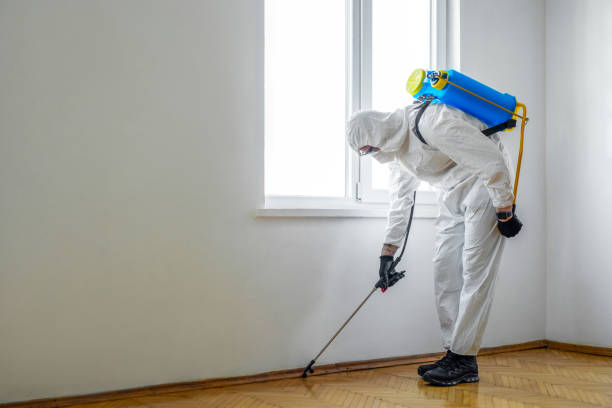 Best Pest Control Near Me  in Myrtletown, CA