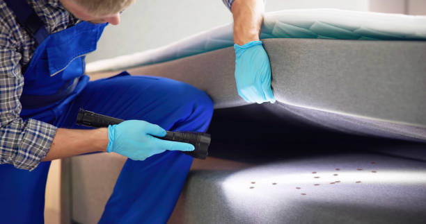 Best Local Pest Control Services  in Myrtletown, CA