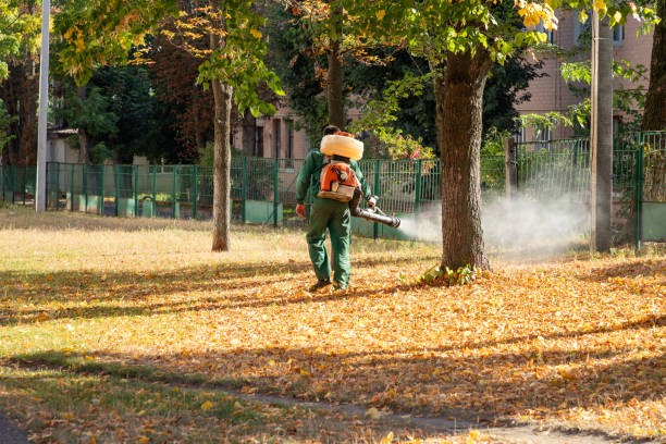 Best Best Pest Control Companies  in Myrtletown, CA
