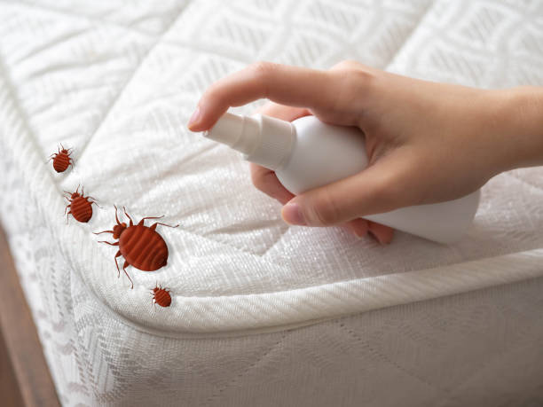 Best Pest Inspection Near Me  in Myrtletown, CA