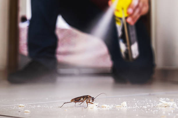 Best Pest Removal Services  in Myrtletown, CA