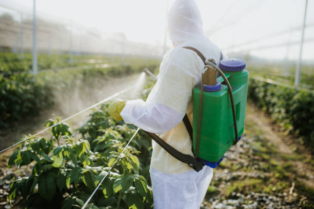 Best Flea Control Services  in Myrtletown, CA